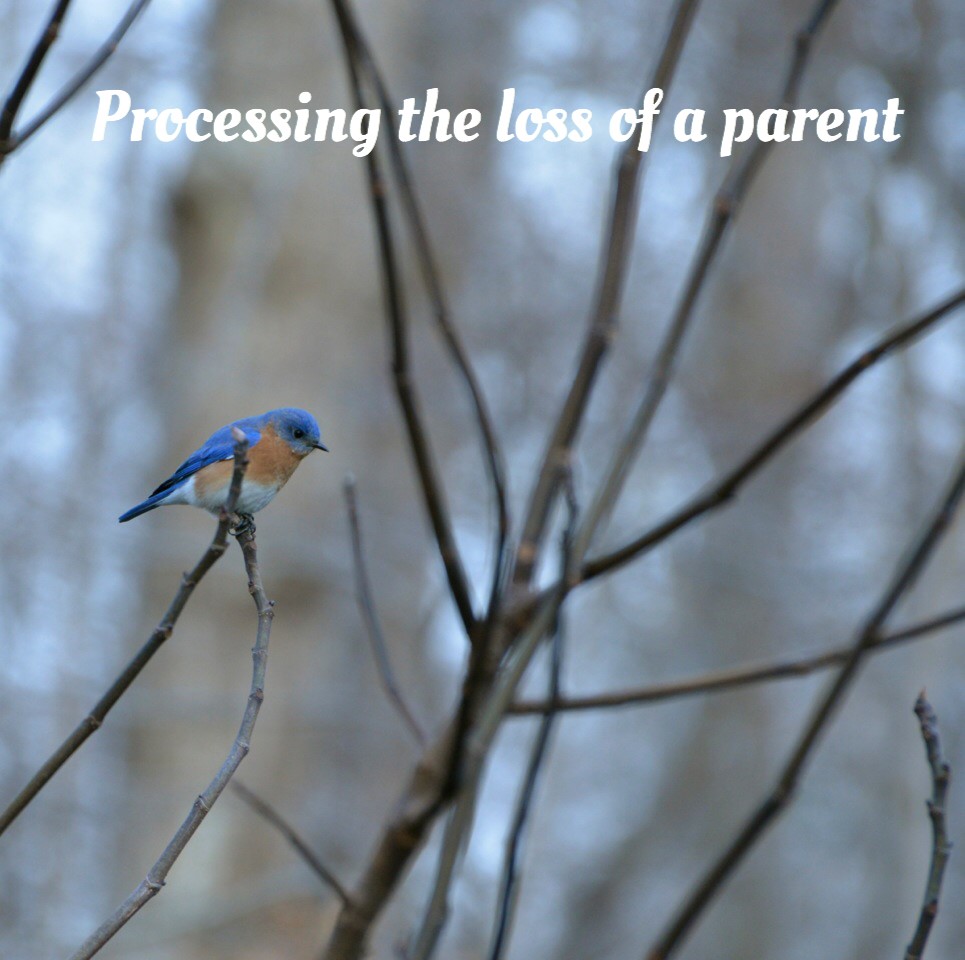 Processing the loss of a parent